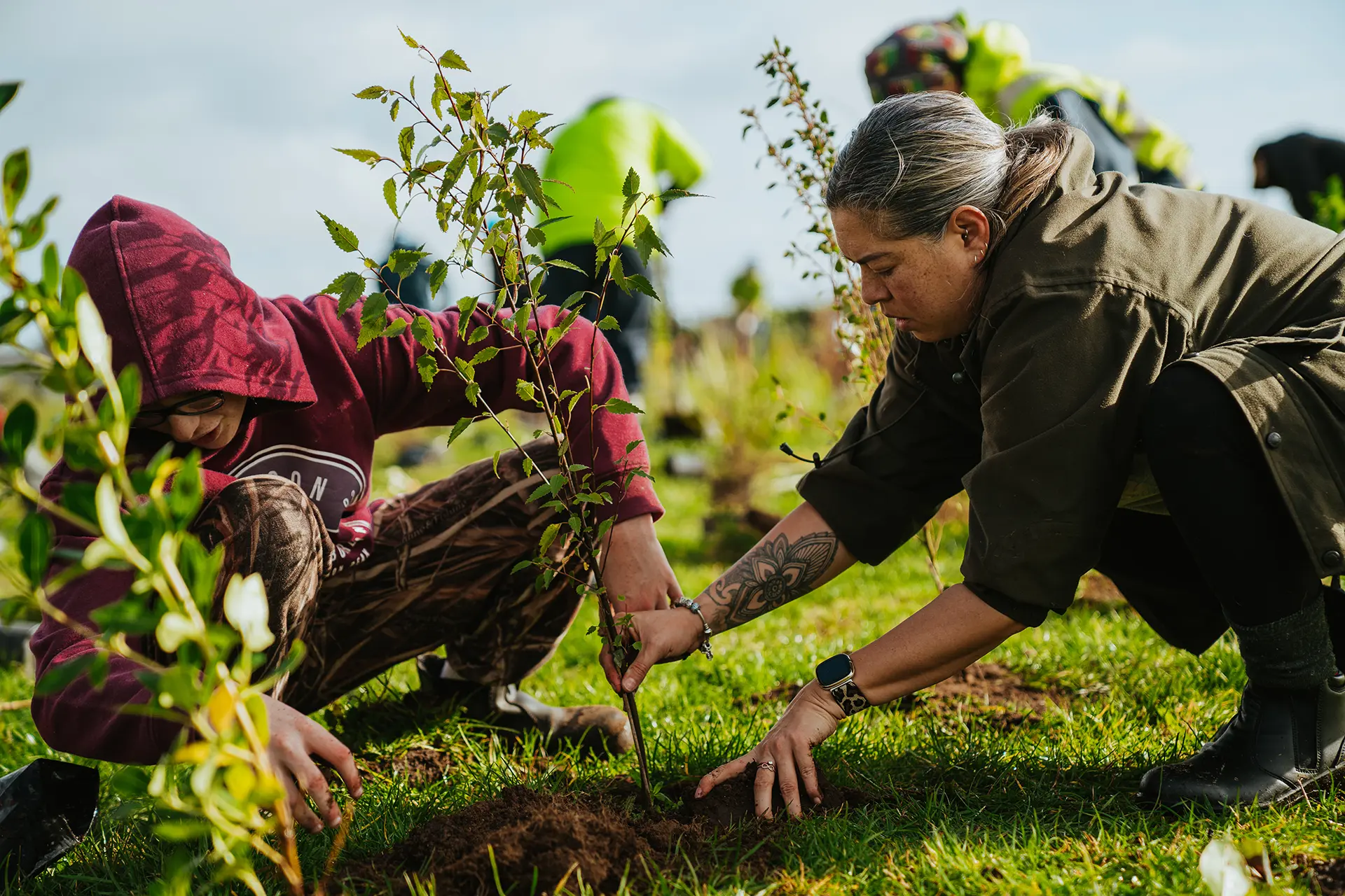 Two people planting a young tree in grassy soil, with others working blurred in the background.