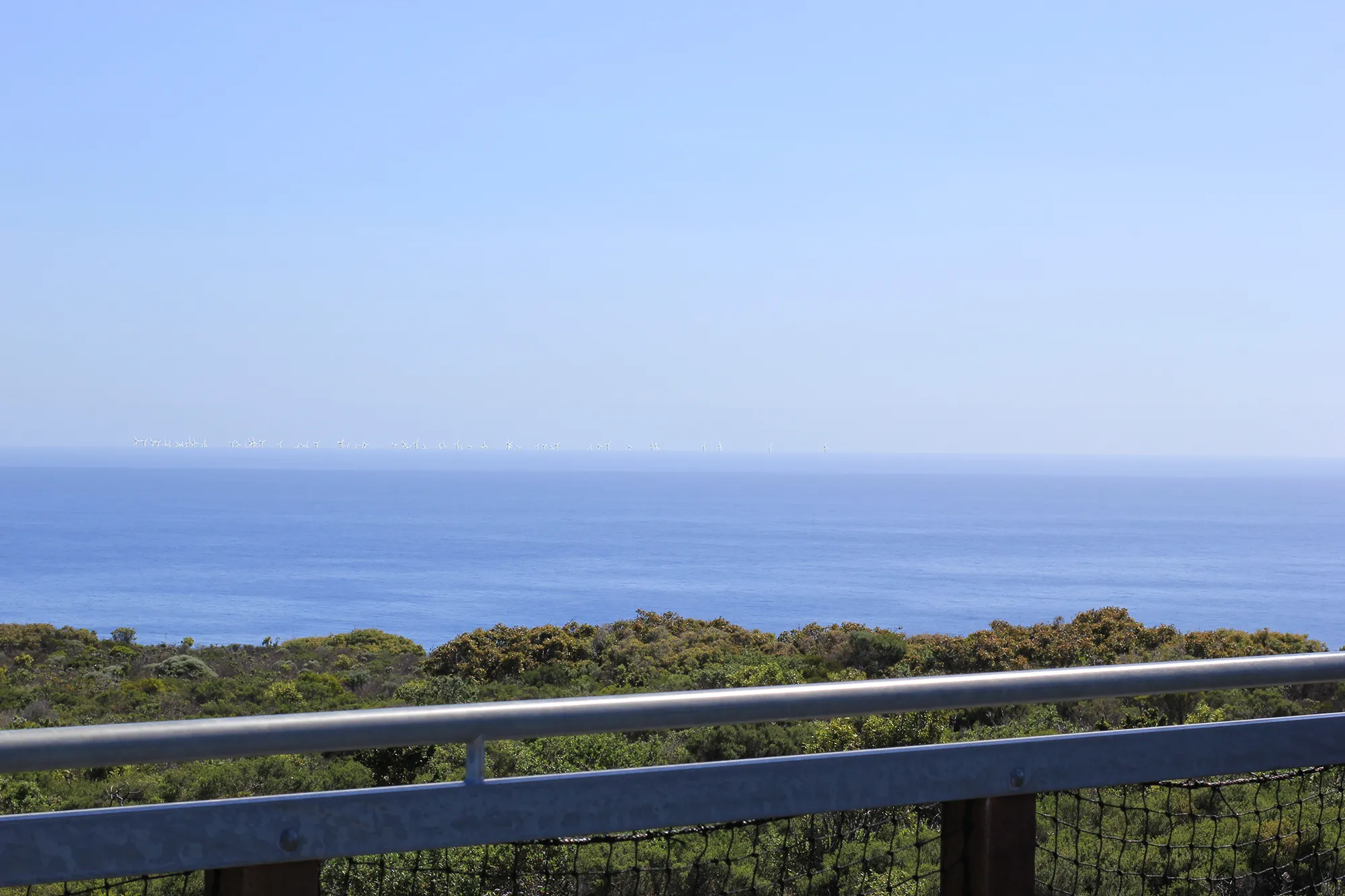 View of ocean with offshore wind turbines on the horizon, green shrubbery in foreground behind a metal railing.