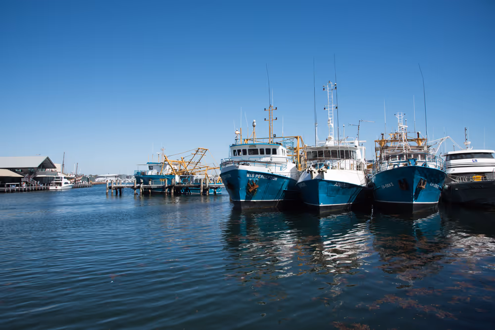 Fishing boats docked side by side at a marina under a clear blue sky.