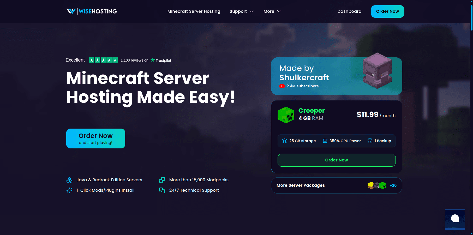WiseHosting Review
