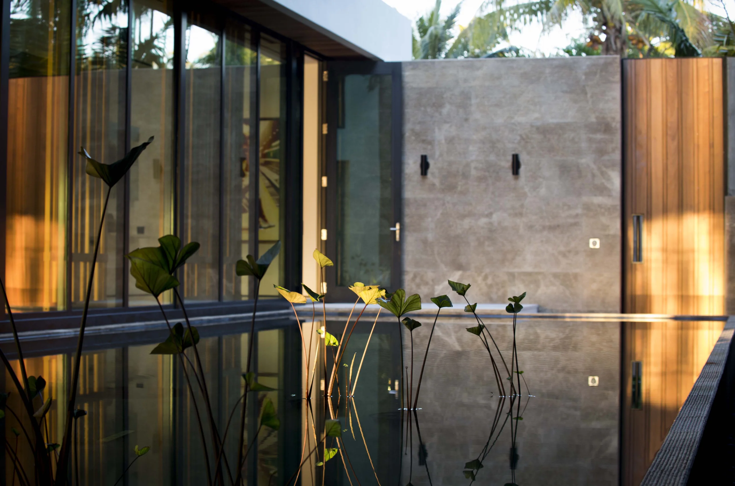 Courtyard reflecting pool with aquatic plants framed by a travertine wall and wood-slat door, Bayside Modern project by Dunagan Design.