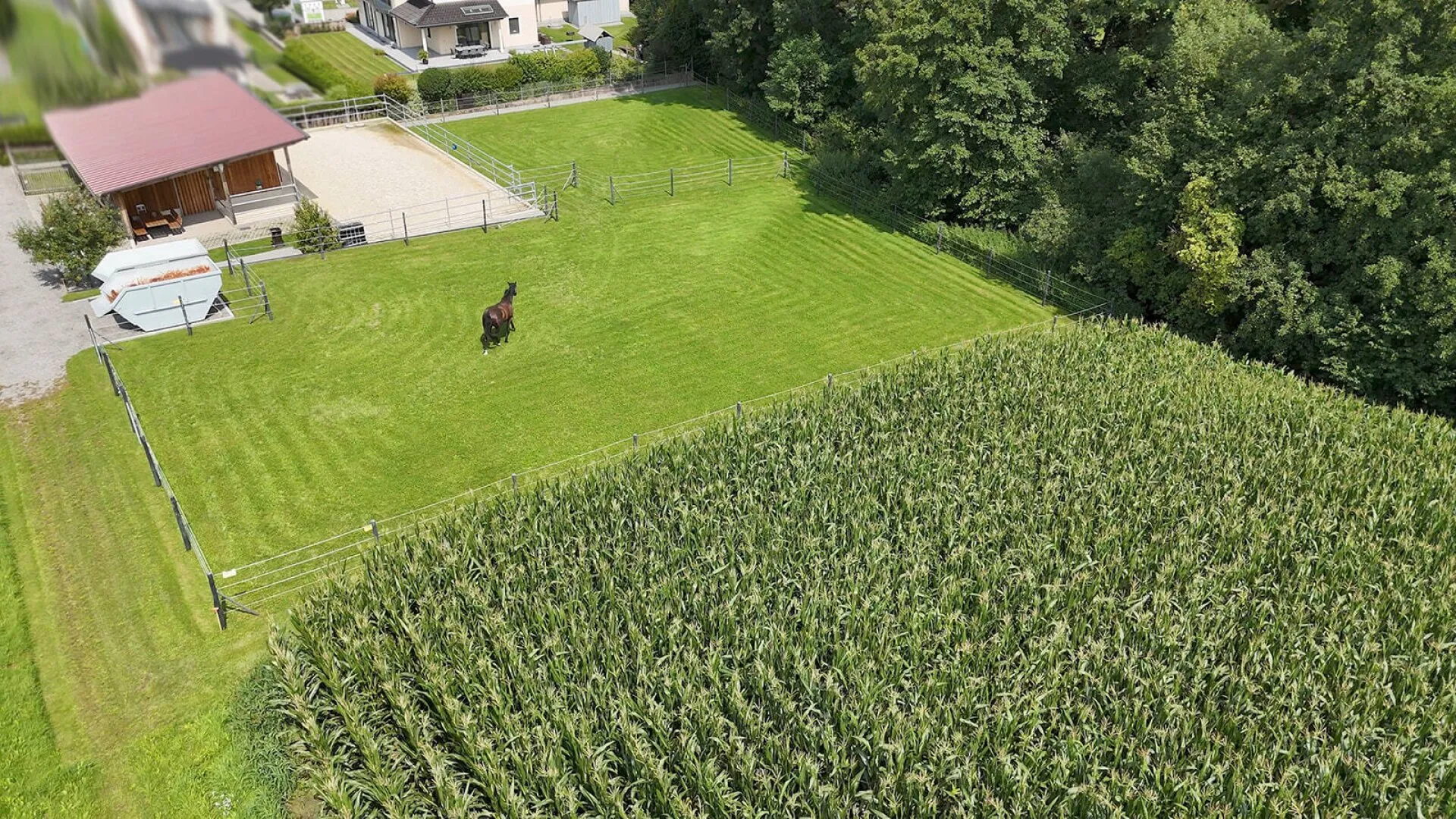 Ein Landsitz mit Haltung. Für Menschen, die Pferde nicht besitzen – sondern verstehen.
