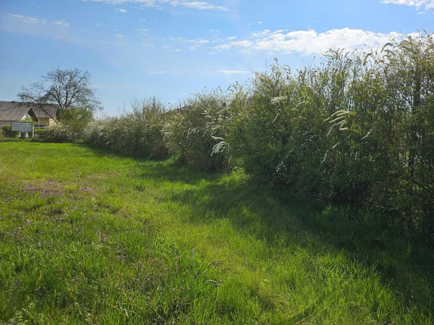 Naturnah bauen in Mamling – sonniges Grundstück sucht Dich