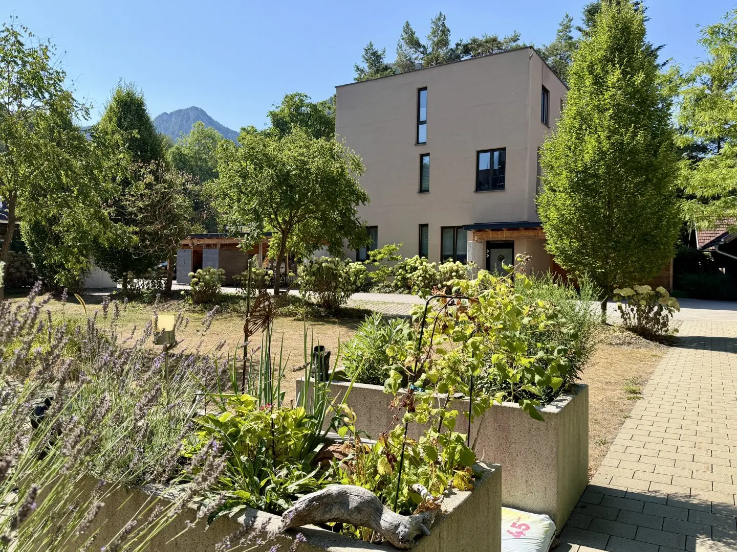Zwischen Alm und Himmel – ein Penthouse über Scharnstein
