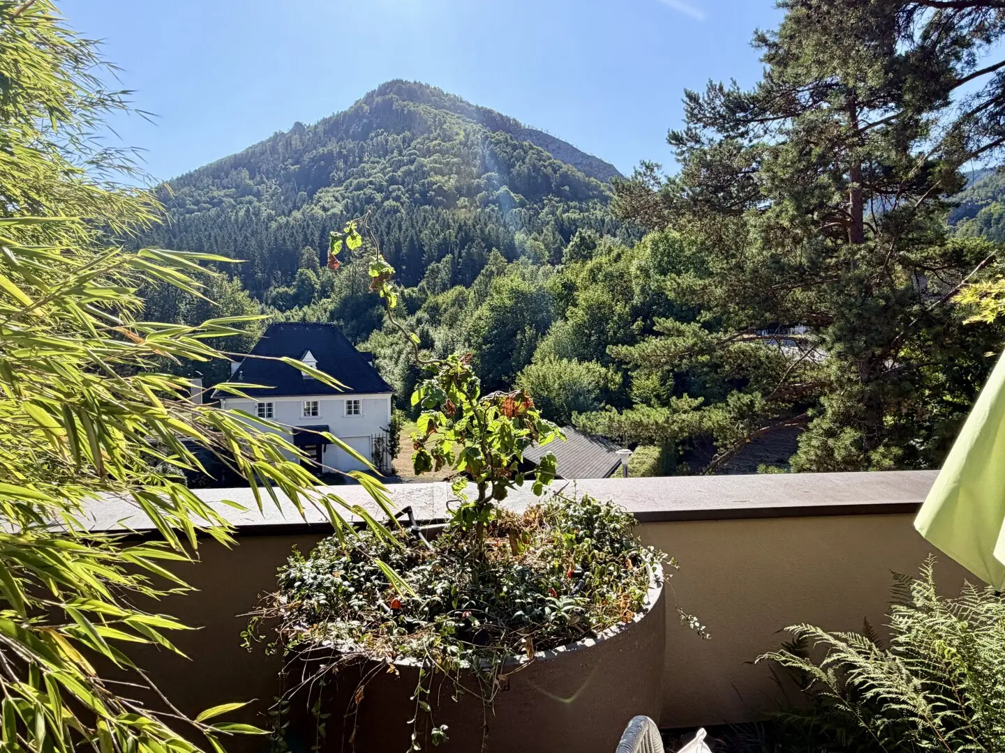 Zwischen Alm und Himmel – ein Penthouse über Scharnstein