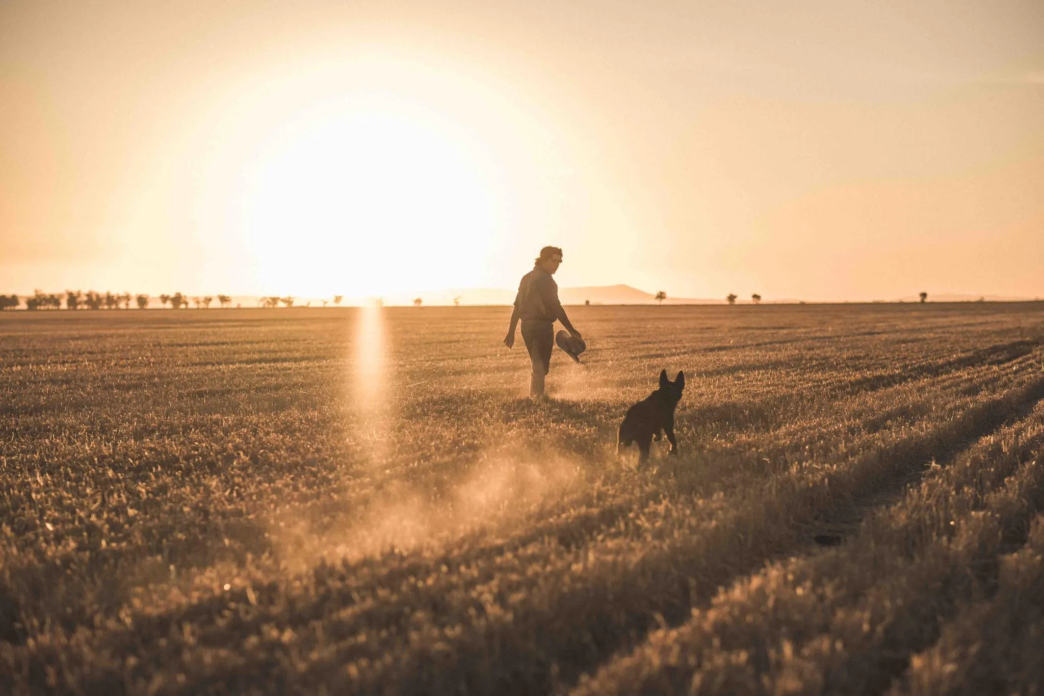 Farmer walking through a stubble paddock at sunset with a kelpie