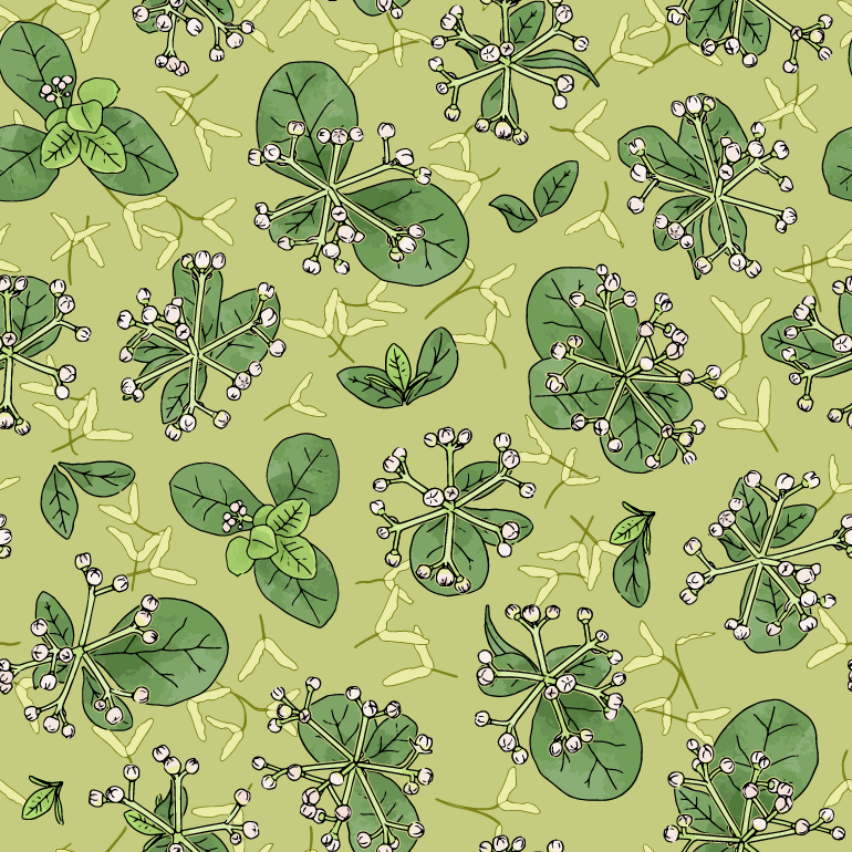 repeat pattern radiating flower buds and leaves on a green background
