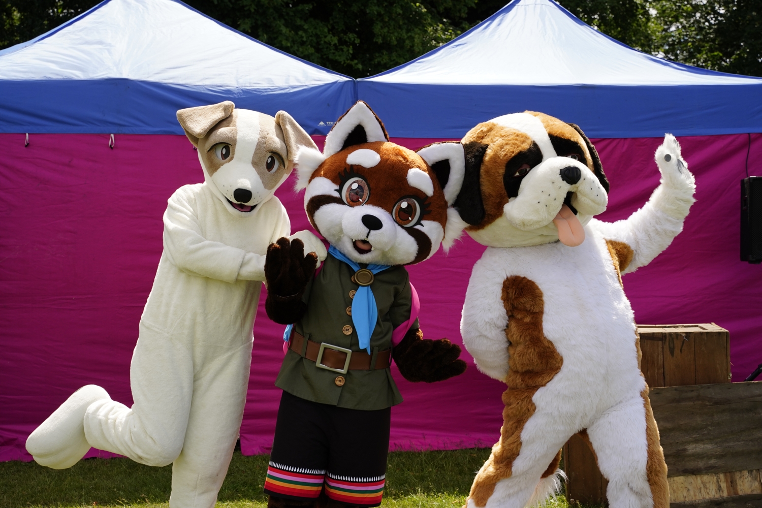 Jack, Maple and Cookie stand in a line, looking at the camera. Maple and Cookie are waving. They are stood infront of a blue and pink gazebo.