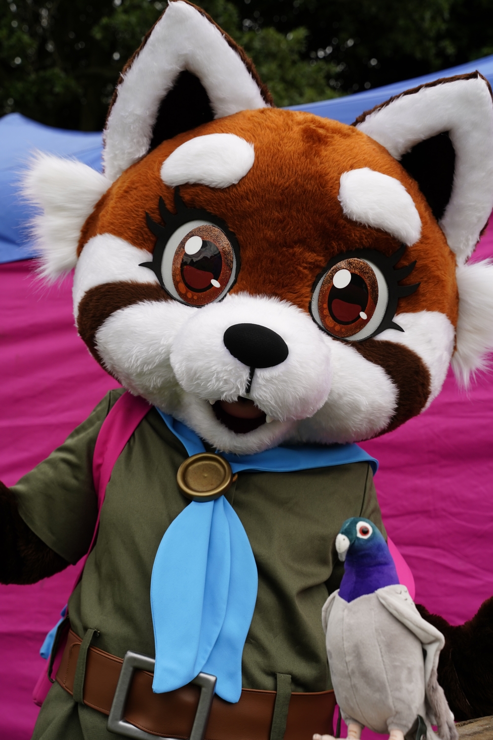 Zoomed in photo of Maple looking at the camera, with her toy pigeon infront of her. She is infront of a pink and blue gazebo.