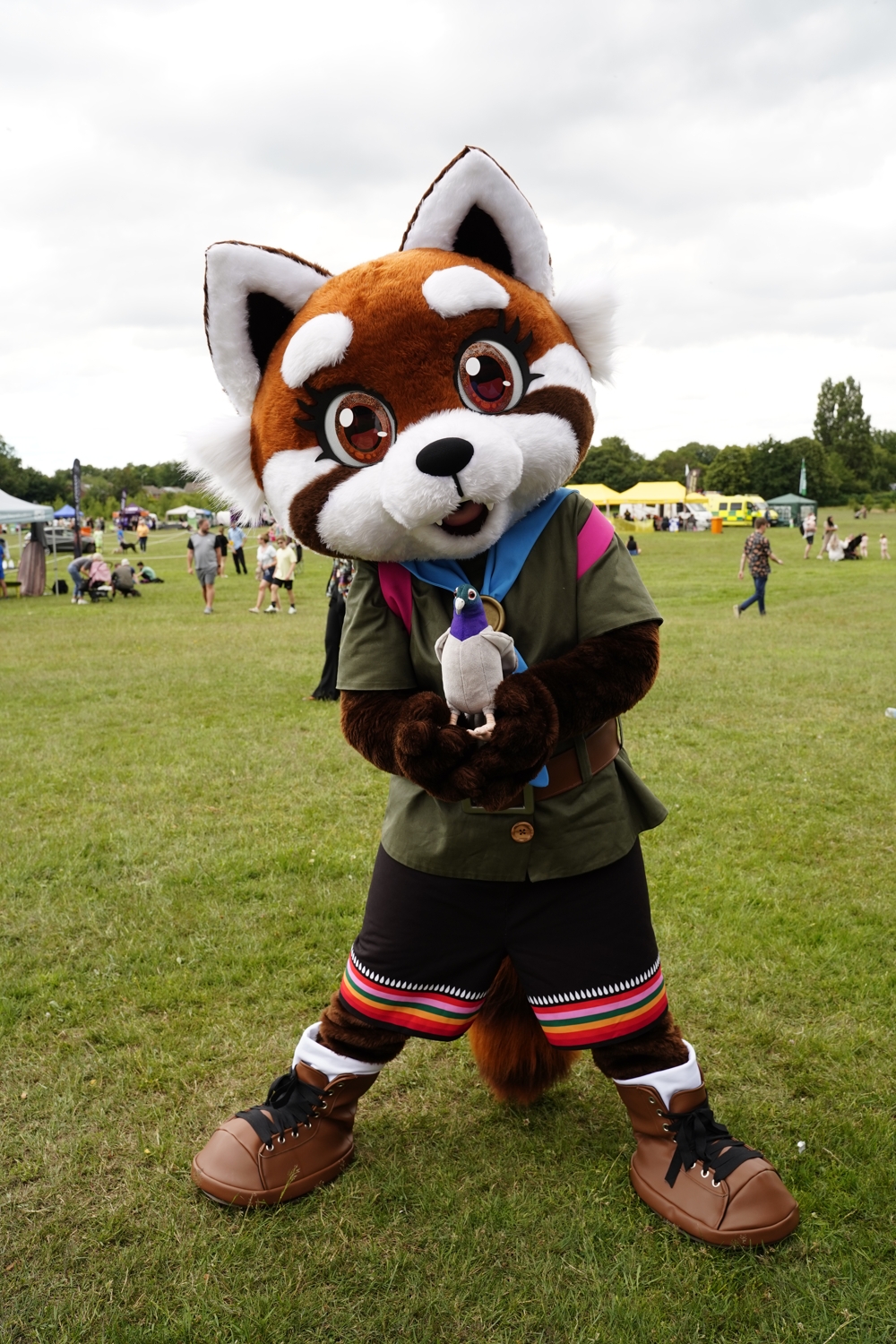Maple is standing and looking at the camera, holding her toy pigeon in both paws. She is standing on grass, and a festival ground can be seen behind her.