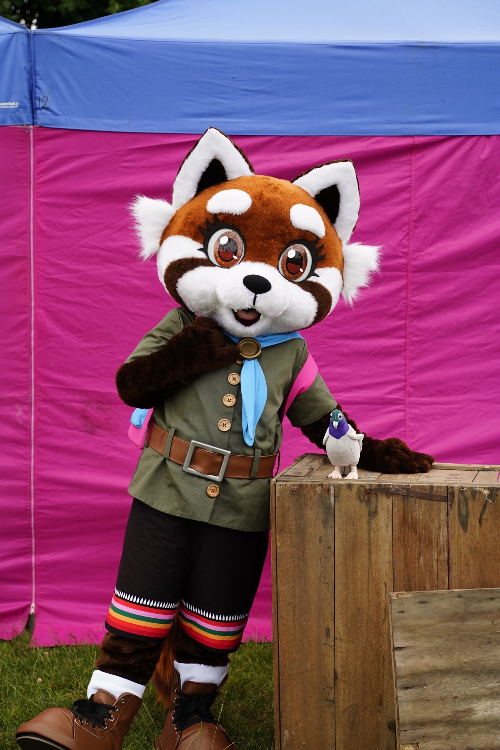 Maple is leaning on a wooden crate, which has her toy pigeon on it. She is holding her backpack strap with one paw. A pink and blue gazebo is behind her,