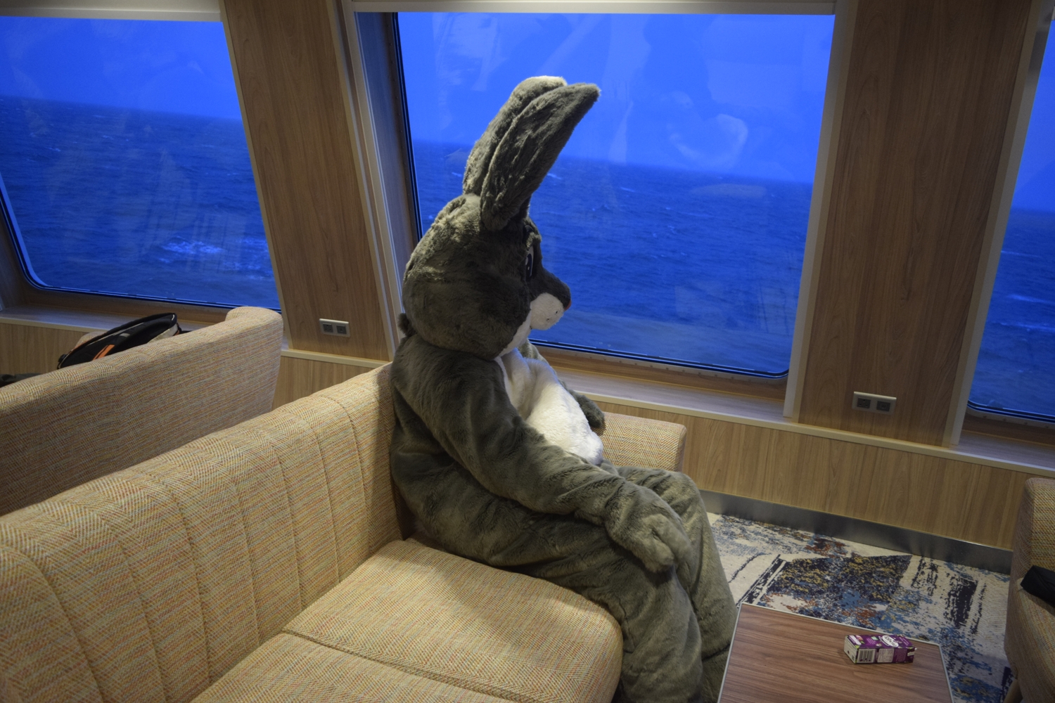 Truffles is sat onboard a ship, looking out the window at the sea. The sun has recently set and its starting to get dark.