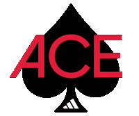 Animated graphic 3 from the "Branding the adidas tailgate for the largest women's sporting event in world history" project
