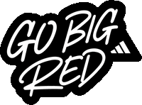 Animated graphic 4 from the "Branding the adidas tailgate for the largest women's sporting event in world history" project