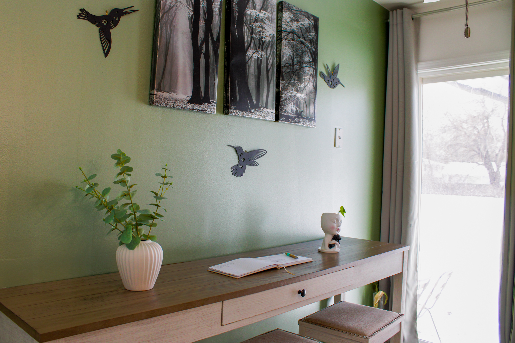 [background image] of an animal shelter