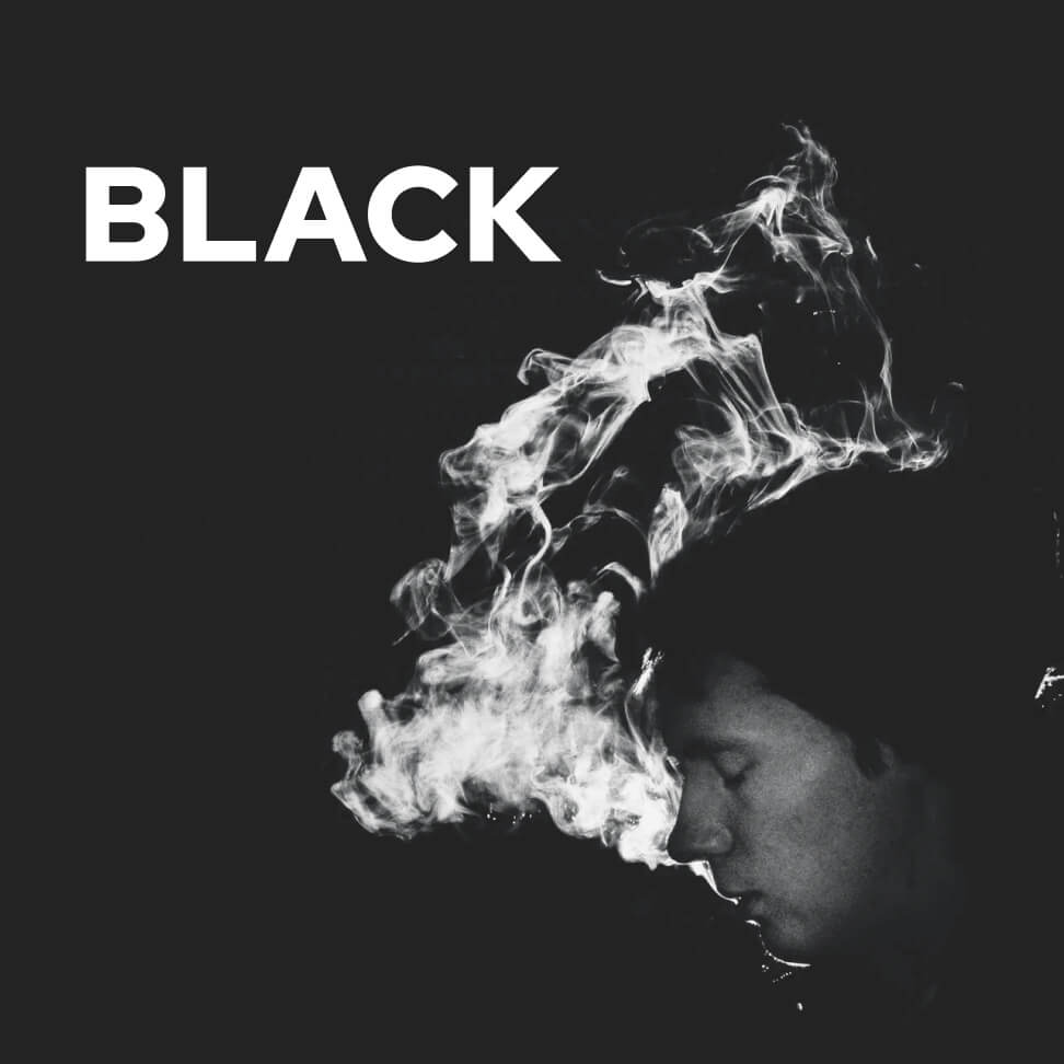 Cover - Music X Webflow Template