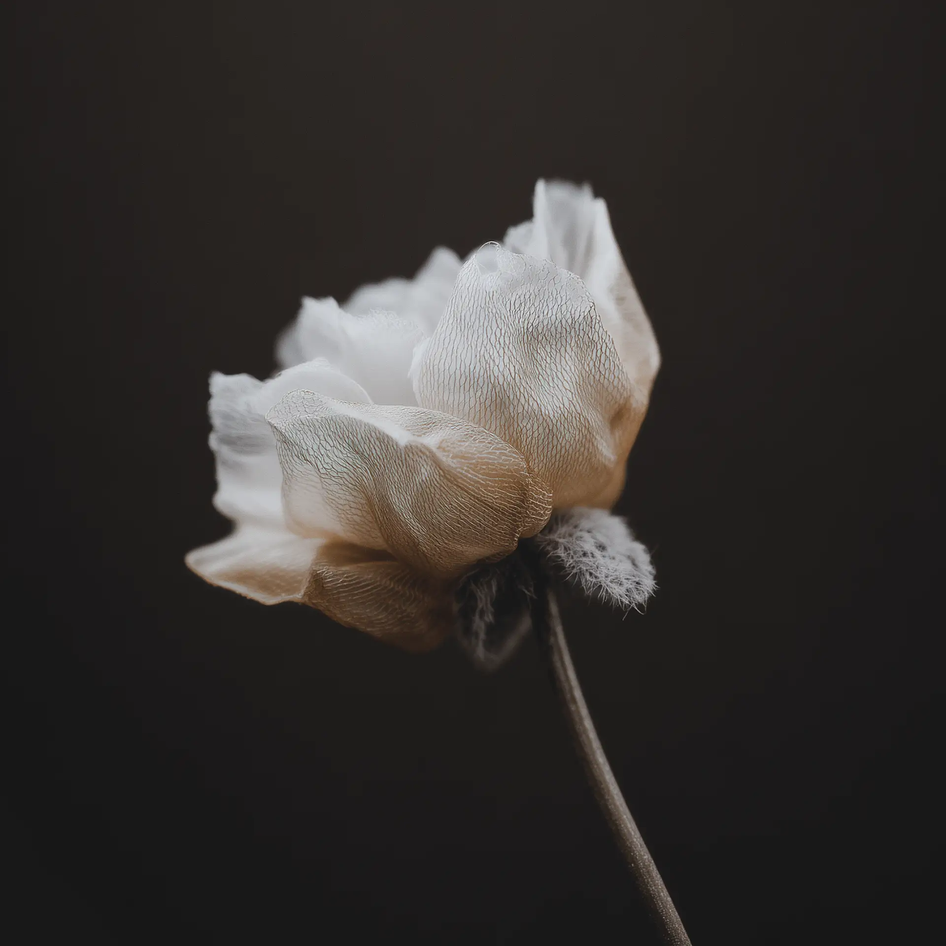 Project Details Image