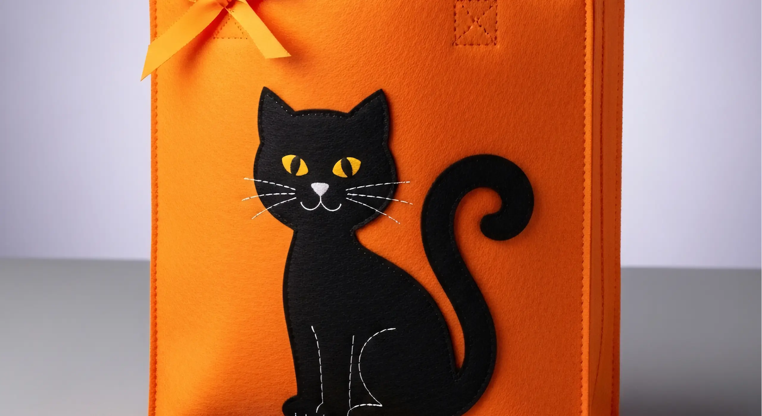 Single Project Image