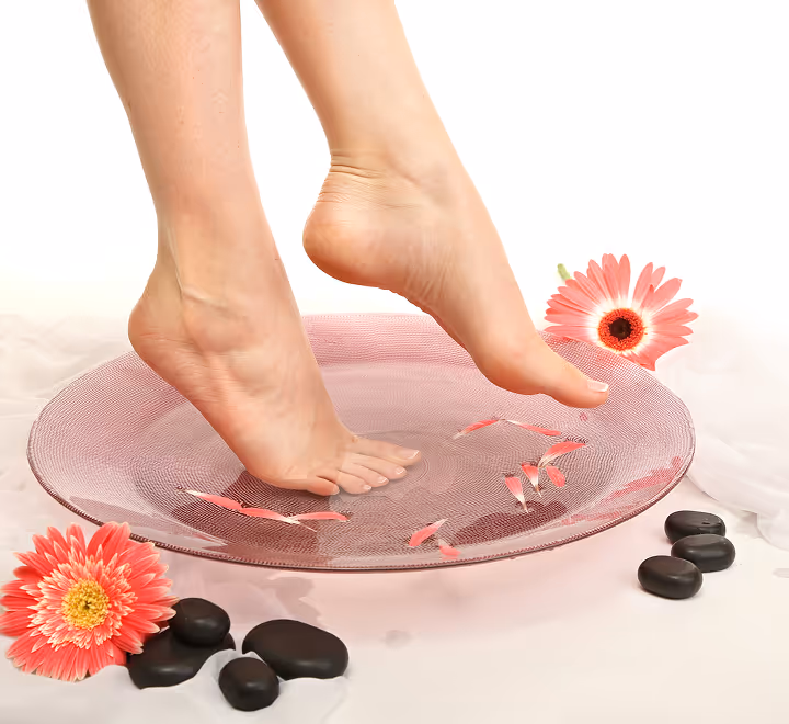 Portfolio / Content Gallery