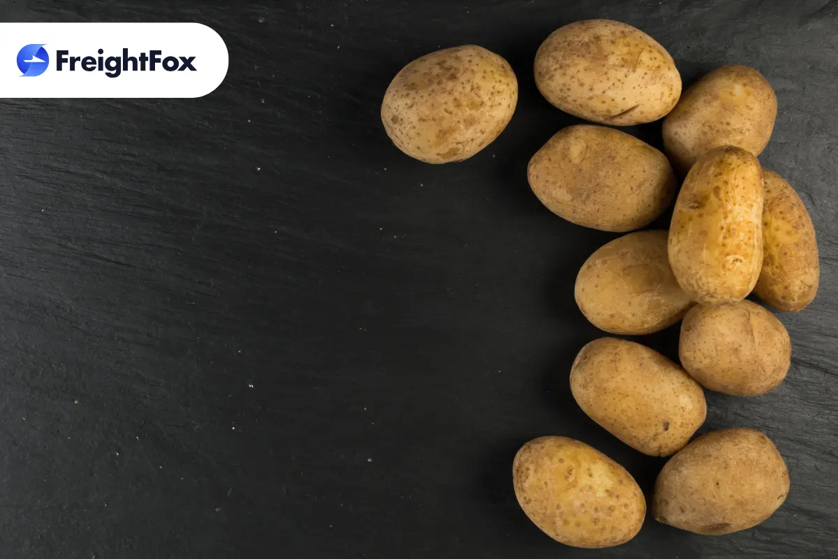 See how FreightFox cut potato freight costs for a leading FMCG brand using data-driven commodity-flow analysis — improving farm-to-fork procurement.
