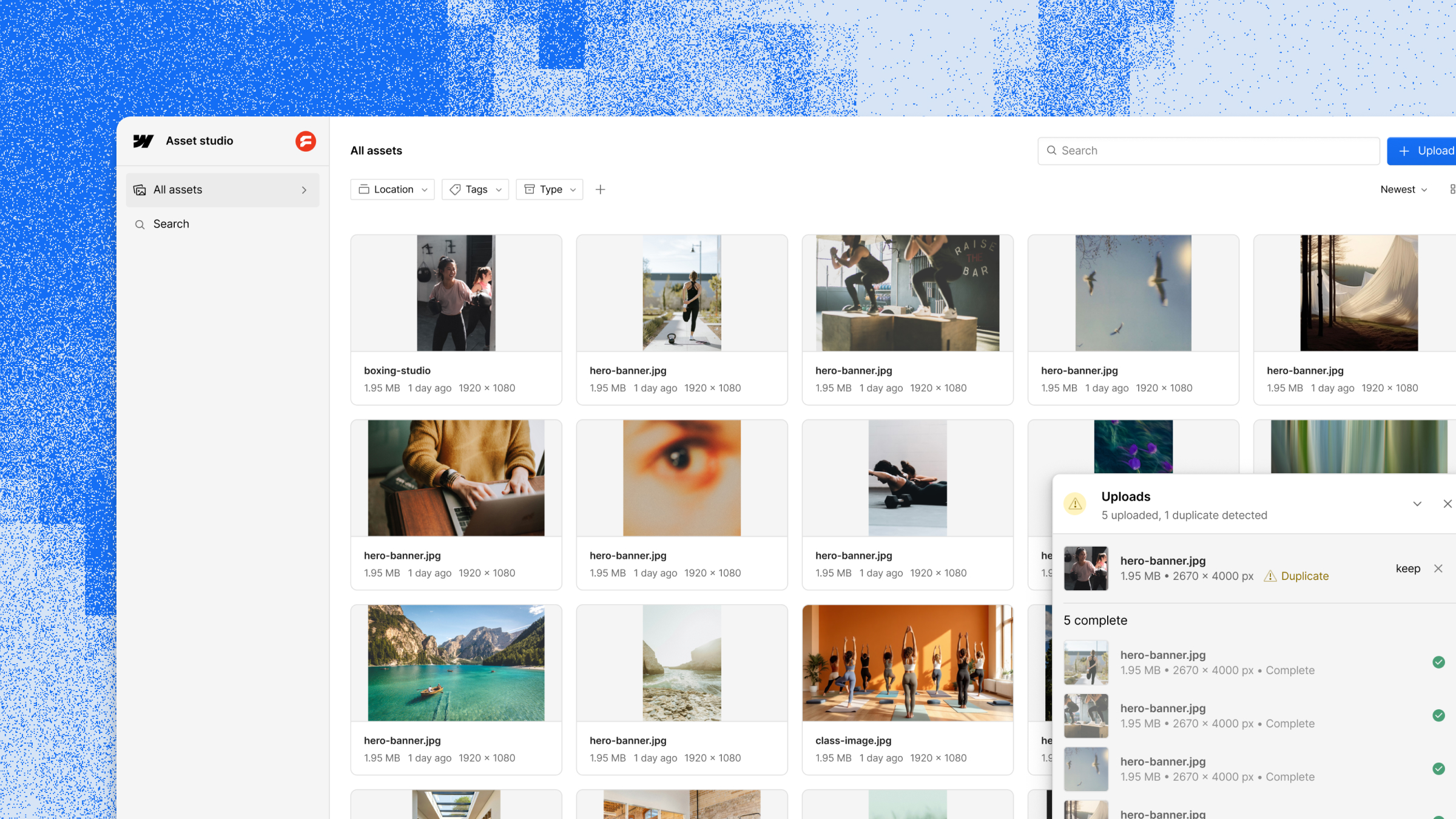 Webflow's official Assets product preview
