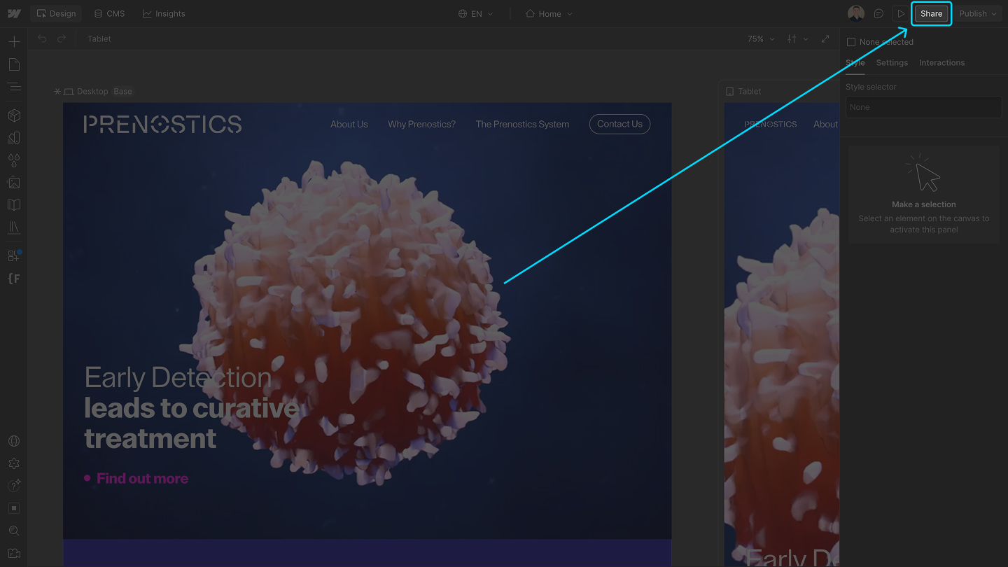 Webflow Designer with the Share button highlighted in the top-right corner, beside Publish.