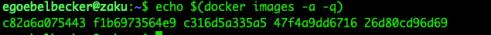 $(docker images -a -q)