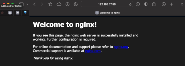 Welcome to nginx