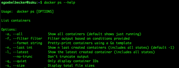docker ps --help