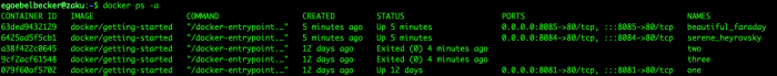 docker ps -a
