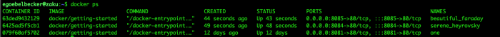 docker ps