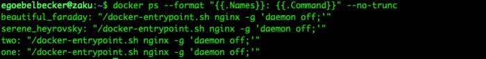 docker ps --format "{{.Names}}: {{.Command}}" --no-trunc