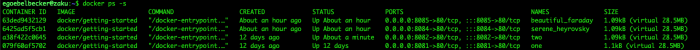docker ps -s