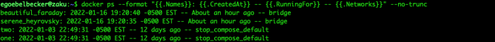 docker ps --format "{{.Names}}: {{.CreatedAt}} -- {{.RunningFor}} -- {{.Networks}}" --no-trunc