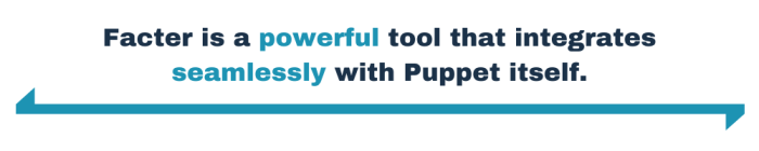 Facter is a powerful tool that integrates seamlessly with Puppet itself.