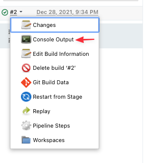 Console Output