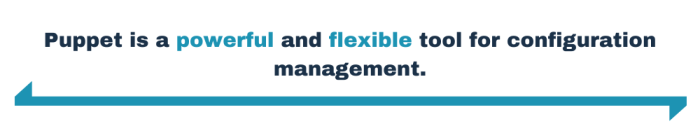 Puppet is a powerful and flexible tool for configuration management.