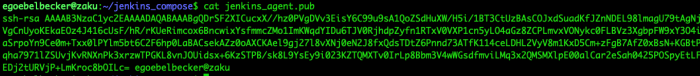 jenkins_agent.pub example