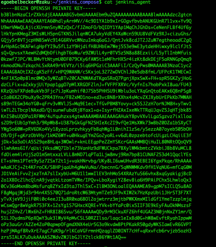 jenkins_agent example