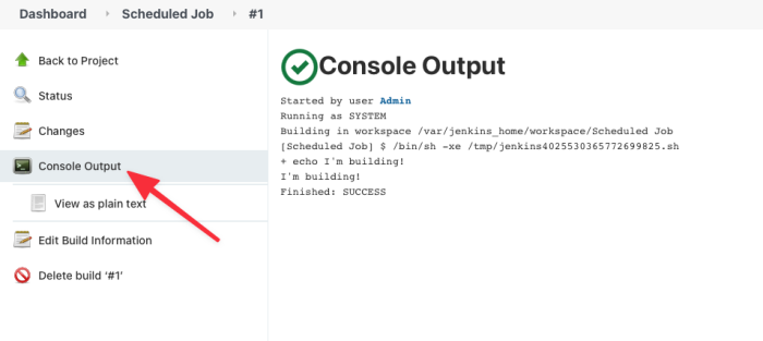 Console Output and Shell Message