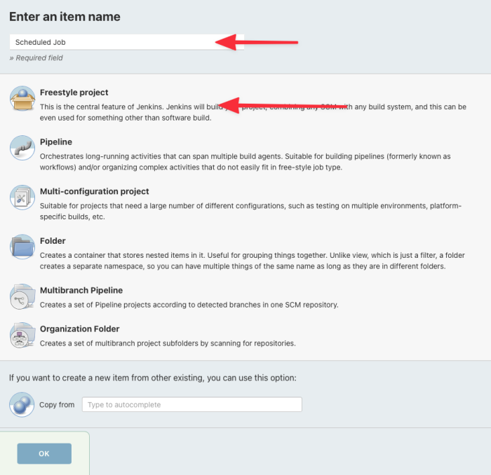 Name new item in Jenkins