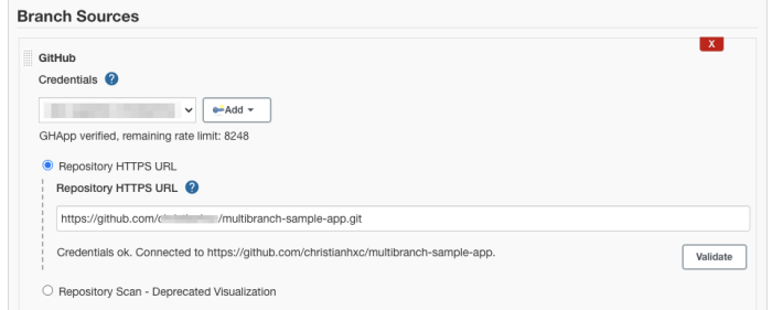 branch sources for multibranch pipeline
