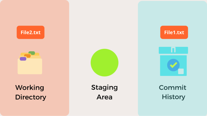 visualization - reset to previous commit