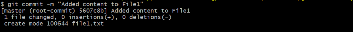 git commit