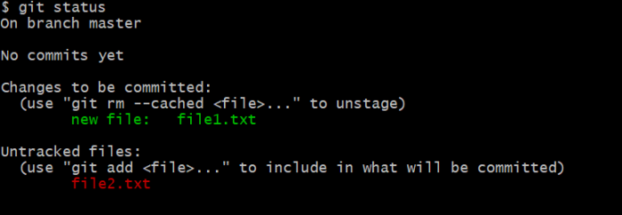 file1.txt is inside our staging area
