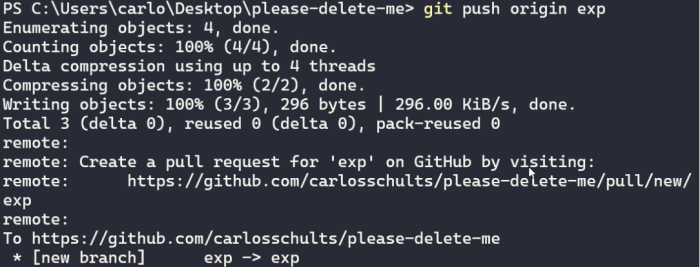 git push origin exp