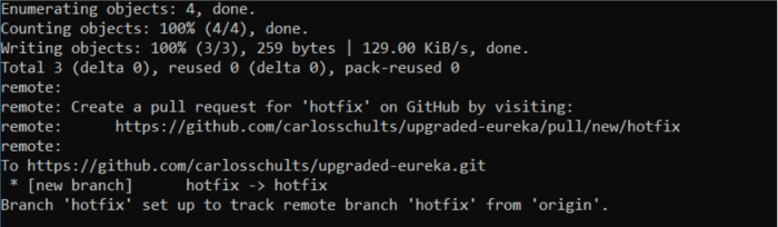 Push your new branch to GitHub