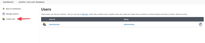 Jenkins Users