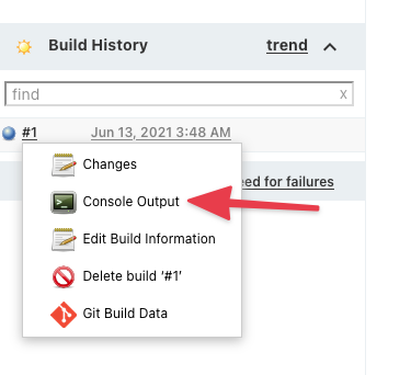 Console Output