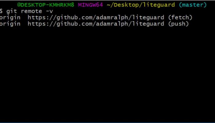 git 1